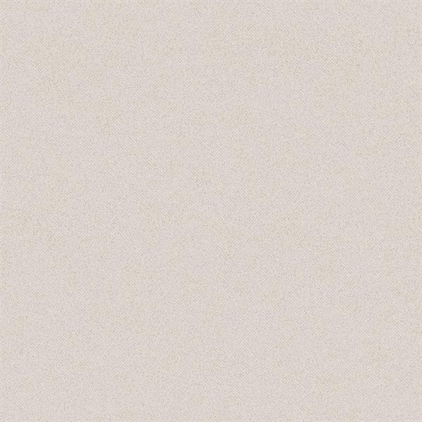 TEXTURE FX PARATO SU TNT MATERICO GRIGIO CHIARO 10x0,53 mt