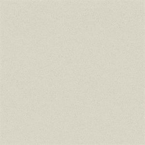 TEXTURE FX PARATO SU TNT MATERICO GRIGIO 10x0,53 mt