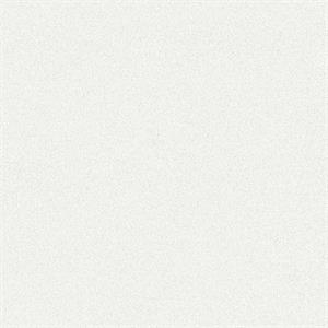 TEXTURE FX PARATO SU TNT MATERICO BIANCO SILVER 10x0,53 mt