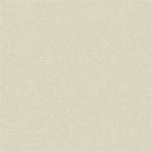 TEXTURE FX PARATO SU TNT MATERICO BEIGE 10x0,53 mt
