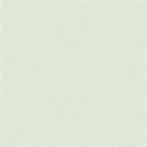 TEXTURE FX PARATO SU TNT MATERICO VERDE CHIARO 10x0,53 mt