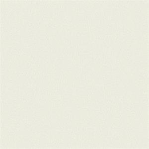 TEXTURE FX PARATO SU TNT MATERICO BEIGE 10x0,53 mt