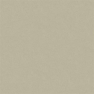 TEXTURE FX PARATO SU TNT MATERICO BEIGE SCURO 10x0,53 mt