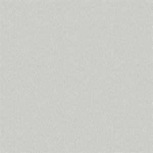 TEXTURE FX PARATO SU TNT MATERICO SILVER 10x0,53 mt