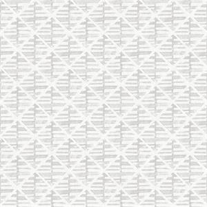 BAZAAR PARATO TNT        GEOM. GRIGIO MIS. 10X0,53 MT