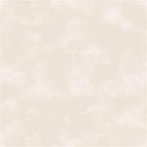 TINY TOTS2 PARATO TNT UNITO BEIGE MIS.10X0,53MT