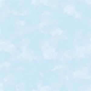 TINY TOTS2 PARATO TNT CIELO BRILLANT. 10X0,53MT