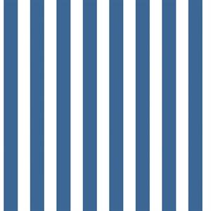 TINY TOTS2 PARATO TNT RIGHE BLU/BIANCO 10X0,53MT