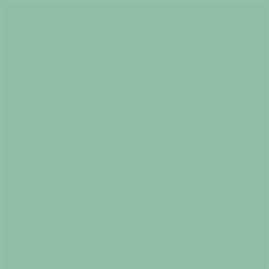 GOOD VIBES PARATO TNT   UNITO VERDE 10,05X0,53MT