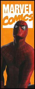 FOTOMURALE INTO ADVENTURE TNT SPIDER-MAN COMIC 100X250CM