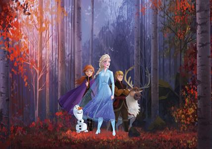 FOTOMURALE WONDERLAND   /IN TNT FROZEN MIS. 400X280 CM(8 TELI)