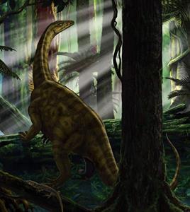 FOTOMURALE INTO ADVENTURE RIOJASAURUS FOREST MIS.250X280CM