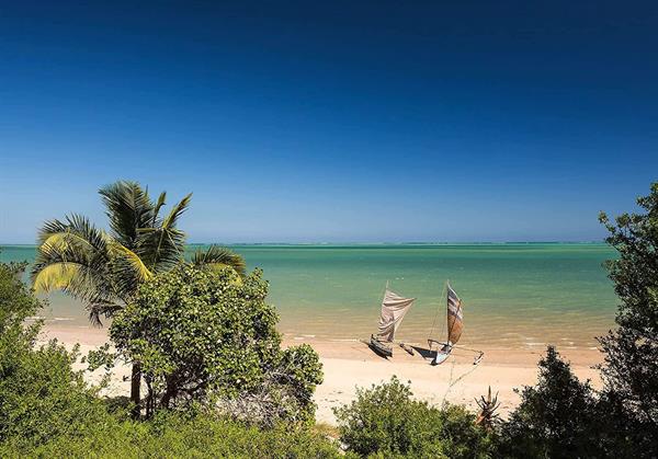 FOTOMURALE INTO ADVENTURE TNT MADAGASCAR H. MIS.400X280 CM