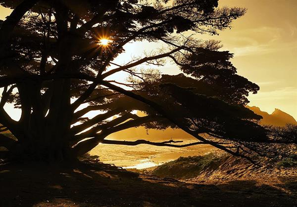 FOTOMURALE INTO ADVENTURE PERFECT MOMENT MIS.400X280 CM