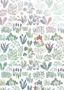 FOTOMURALE INTO ADVENTURE FLOWER FARM MIS.200X280 CM
