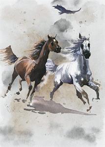 FOTOMURALE INTO ADVENTURE TNT WILD RIDE MIS.200X280 CM