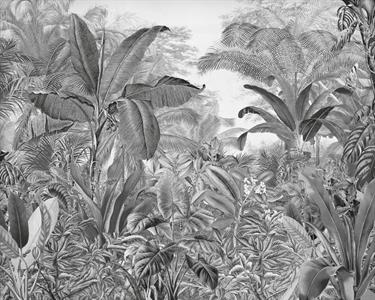 FOTOMURALE WONDERLAND   /IN TNT JUNGLE GREY MIS.350X280h CM (7 T