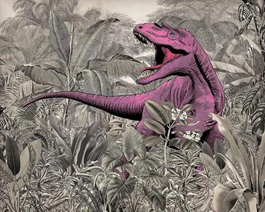 FOTOMURALE INTO ADVENTURE TNT PINKY MIS.350X280CM