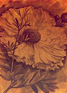 FOTOMURALE KOMAR INK SU TNT FLOWERS MIS.200X280cm