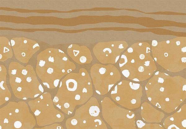 FOTOMURALE KOMAR INK SU TNT SOTTOSUOLO MIS.400X280cm