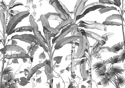 FOTOMURALE KOMAR INK SU TNT FOLGIE B&WHITE MIS.400X280cm