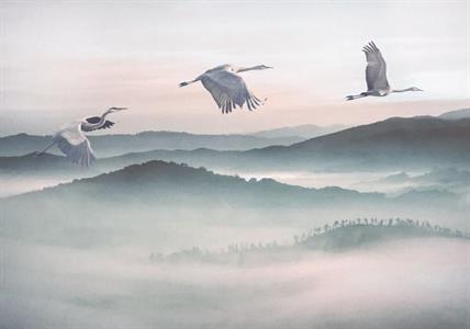 FOTOMURALE KOMAR INK SU TNT MYSTIS CRANES MIS.400X280cm