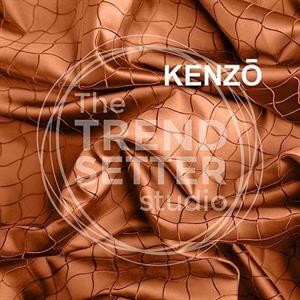 CAMPIONARIO TESSUTI KENZO