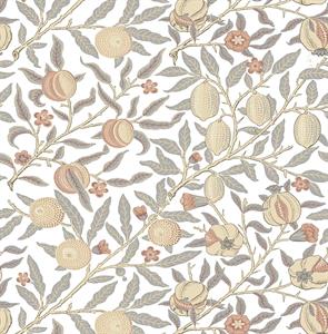 BRITISH HERITAGE PARATO SU TNT FRUTTI BIANCO ARANCIO 10x0,52mt