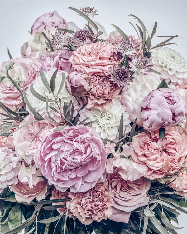 FOTOMURALE LE JARDIN    ZESTFUL ROSES MIS.200X250CM