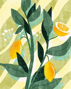 FOTOMURALE LE JARDIN    LEMON FRESH MIS.200X250CM