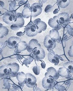 FOTOMURALE LE JARDIN    ORCHIDEE BLUE 200X250 CM