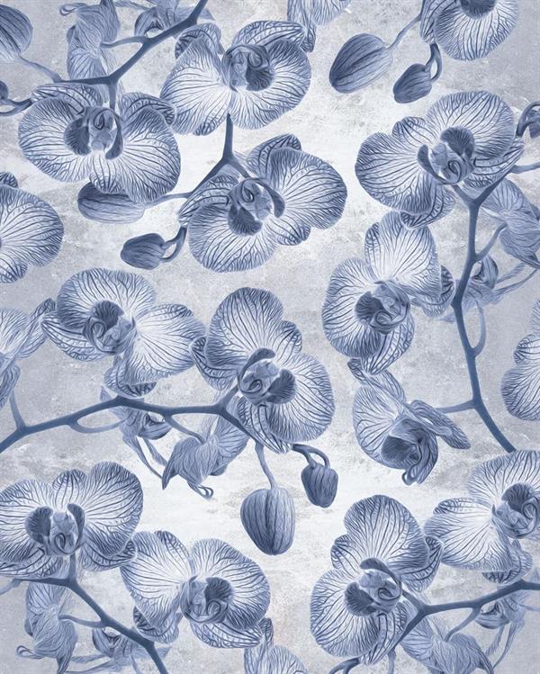 FOTOMURALE LE JARDIN    ORCHIDEE BLUE 200X250 CM