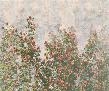 FOTOMURALE LE JARDIN    WALL ROSES MIS.300X250 CM
