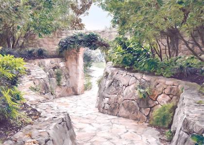 FOTOMURALE LE JARDIN    PASSAGE MIS.350X250CM