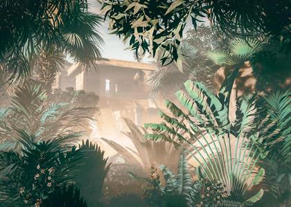 FOTOMURALE LE JARDIN    MANOA PALMES MIS.350X250CM
