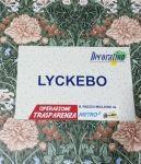 CAMPIONARIO LYCKEBO