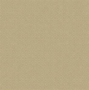 MARCEL PARATO TNT DAMA  SCO ORO 10x0,53 mt