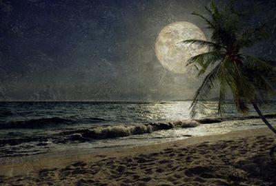 INTO THE MOOD STAMPA DIG TNT DIS. LUNARE AL MQ SMOOTH