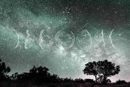 INTO THE MOOD STAMPA DIG TNT PAESAGGIO DIS. VERDE AL MQ SMOOTH