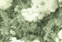 INTO THE MOOD STAMPA DIG TNT FIORI VERDE AL MQ SMOOTH