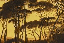 INTO THE MOOD STAMPA DIG TNT ALBERI FONDO ARANCIO AL MQ SMOOTH