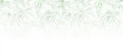 INTO THE MOOD STAMPA DIG TNT FOGLIE VERDI  E BIANCO AL MQ SMOOTH