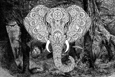 INTO THE MOOD STAMPA DIG TNT DIS. ELEFANTE  NERO AL MQ SMOOTH