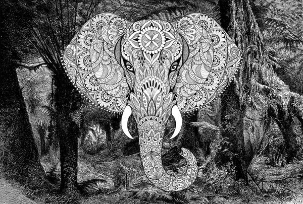 INTO THE MOOD STAMPA DIG TNT DIS. ELEFANTE  NERO AL MQ SMOOTH