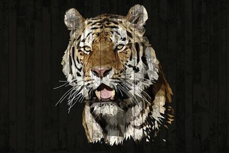 INTO THE MOOD STAMPA DIG TNT DIS. TIGRE FONDO NERO AL MQ SMOOTH