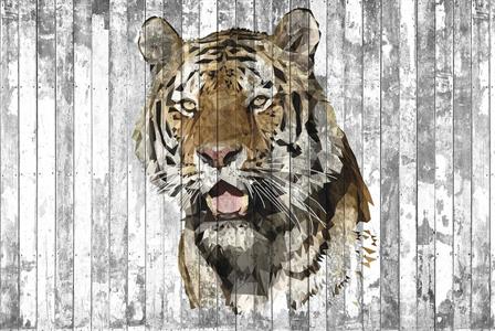 INTO THE MOOD STAMPA DIG TNT DIS. TIGRE FON.GRIGIO AL MQ SMOOTH