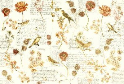INTO THE MOOD STAMPA DIG TNT FIORI E SCRITTE PANNA AL MQ SMOOTH