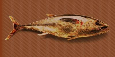 INTO THE MOOD STAMPA DIG TNT DIS. PESCE FONDO ROSSO AL MQ SMOOTH