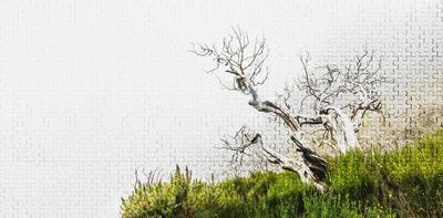 INTO THE MOOD STAMPA DIG TNT PUZZLE NATURA  GRIGIO AL MQ SMOOTH
