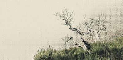 INTO THE MOOD STAMPA DIG TNT  PUZZLE NATURA BEIGE AL MQ SMOOTH